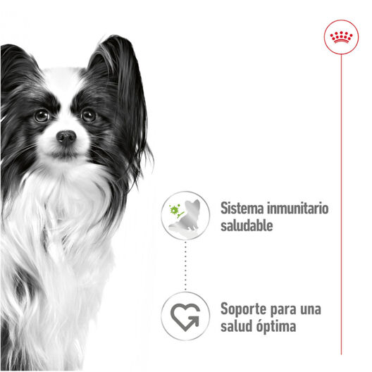 Royal Canin X-Small Adult sobres en salsa para perros, , large image number null